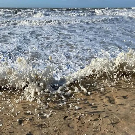 Beautiful With Sea View Ostende
